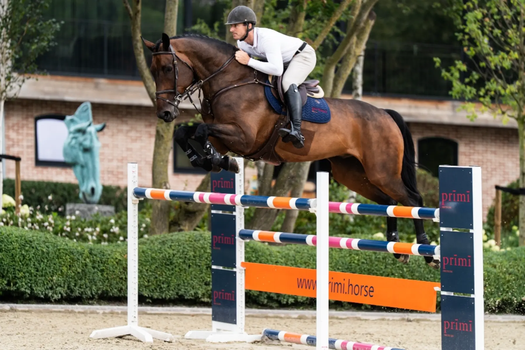 Can Do It - Primi Hunter & Jumper Horses