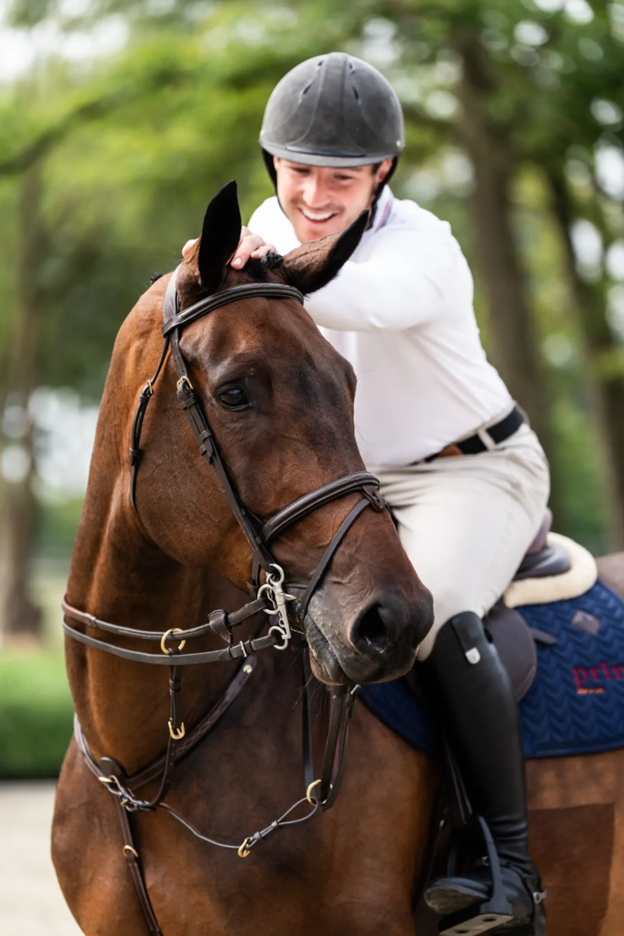 Can Do It - Primi Hunter & Jumper Horses