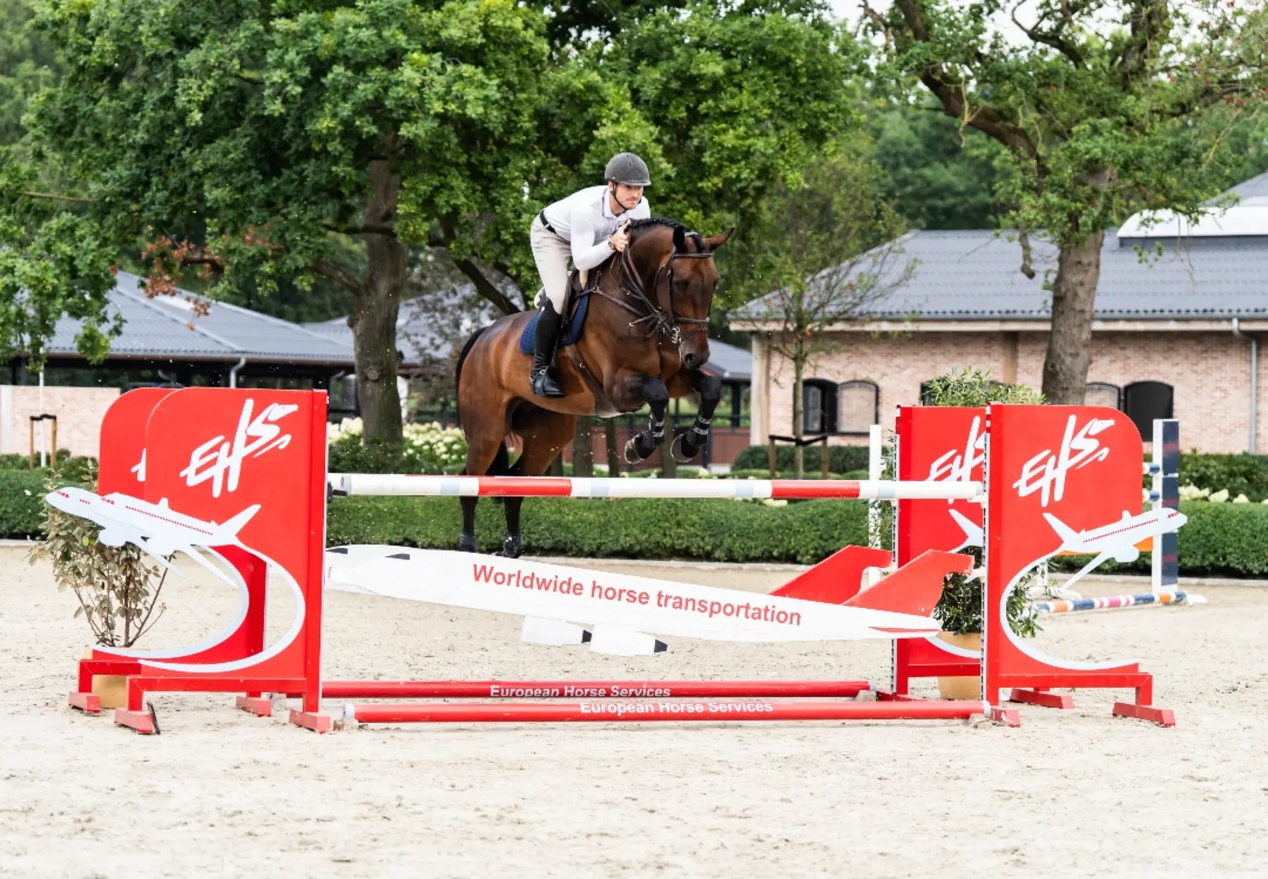 Can Do It - Primi Hunter & Jumper Horses