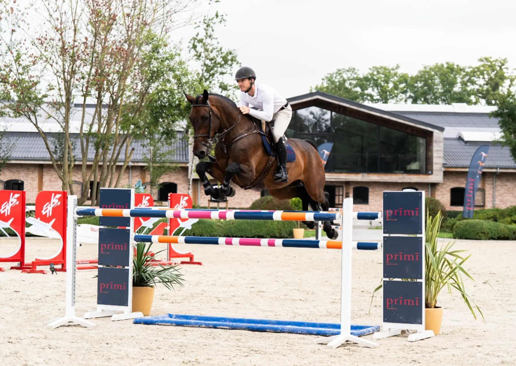 Can Do It - Primi Hunter & Jumper Horses