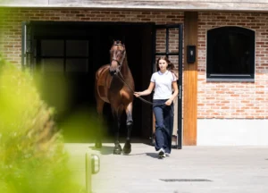 Can Do It - Primi Hunter & Jumper Horses