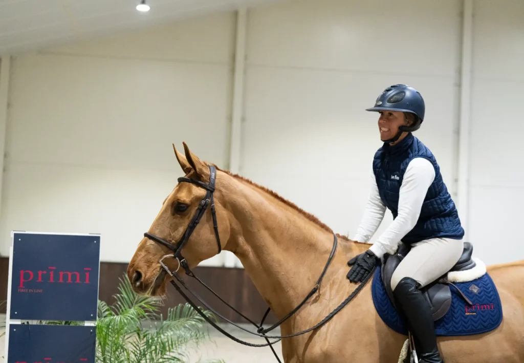 Bonita - Primi Hunter & Jumper Horse Sale